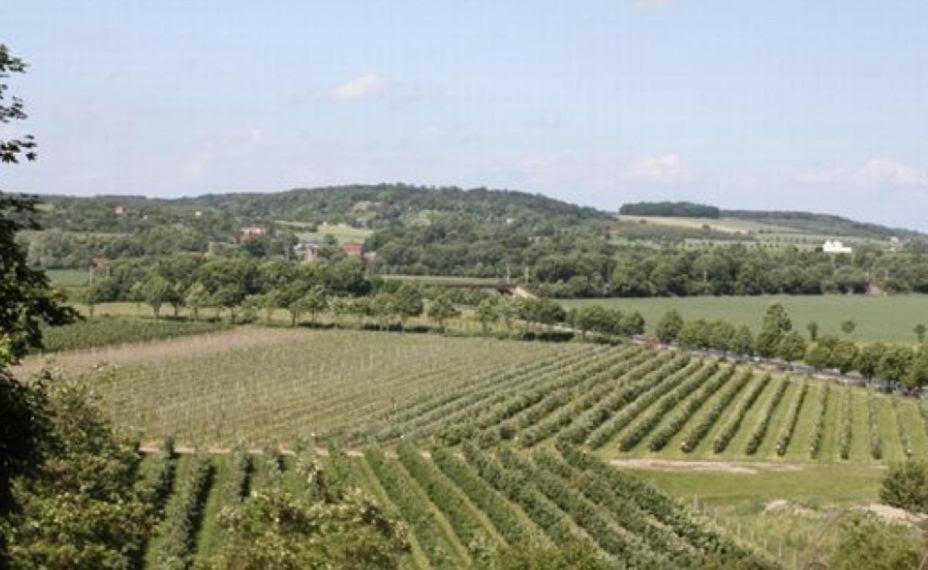 Ferienwohnung Zum Saaletalblick Naumburg  Exteriér fotografie