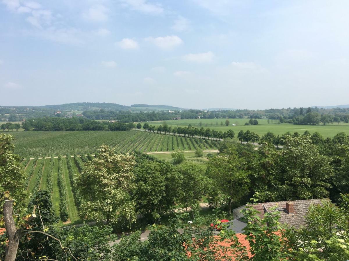 Ferienwohnung Zum Saaletalblick Naumburg  Exteriér fotografie