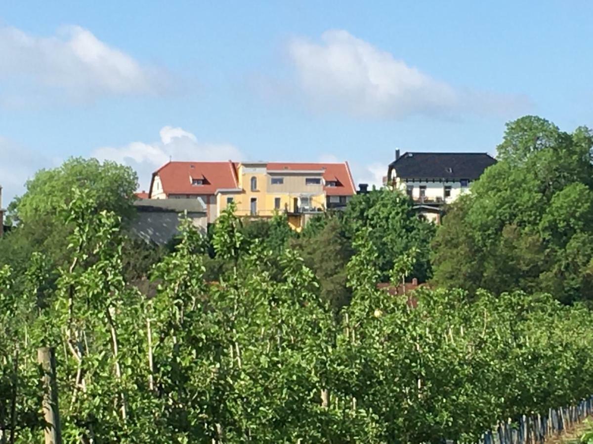 Ferienwohnung Zum Saaletalblick Naumburg  Exteriér fotografie